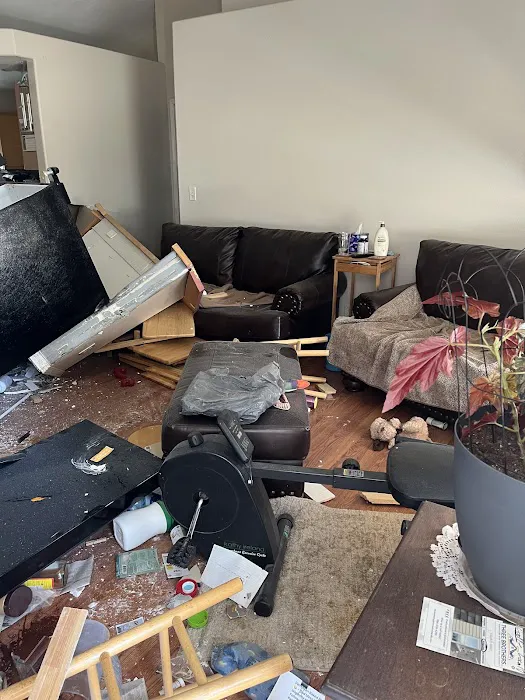 Pronto Pack Out Picture 4