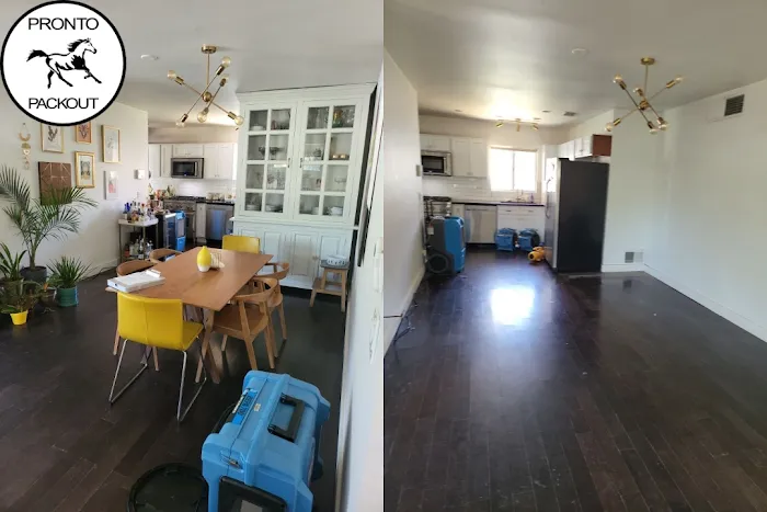 Pronto Pack Out Picture 1