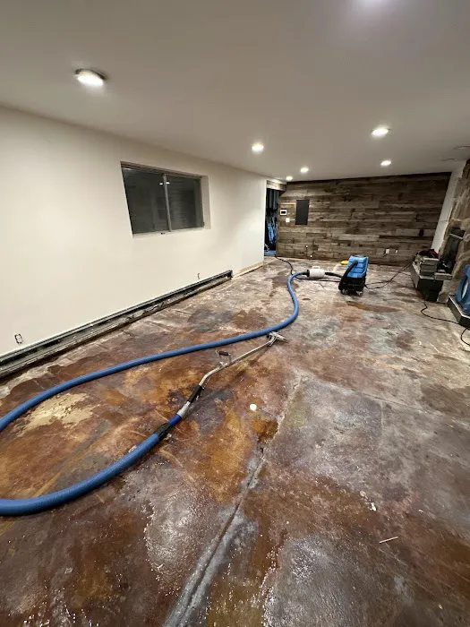 Water Damage Specialists Picture 1