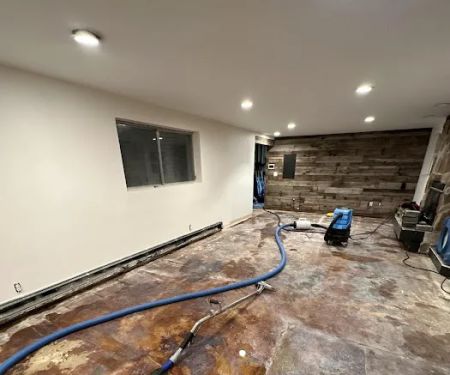 Water Damage Specialists