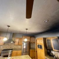 Disaster Repair Team ico