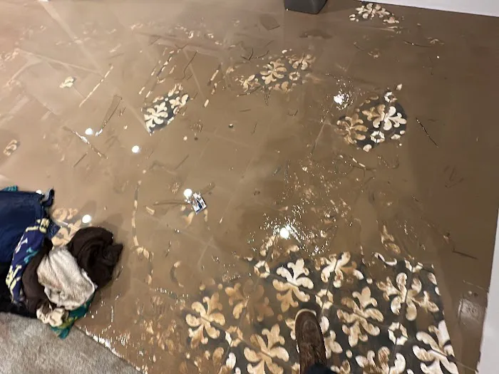 Disaster Repair Team Picture 3