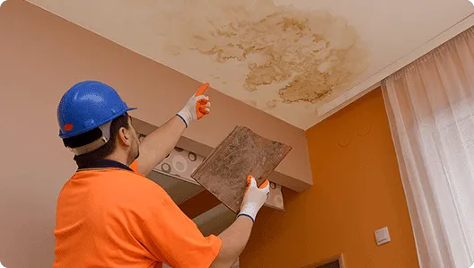 Disaster Repair Team Picture 6