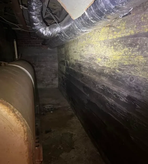 Ender Water Damage & Restoration Picture 2