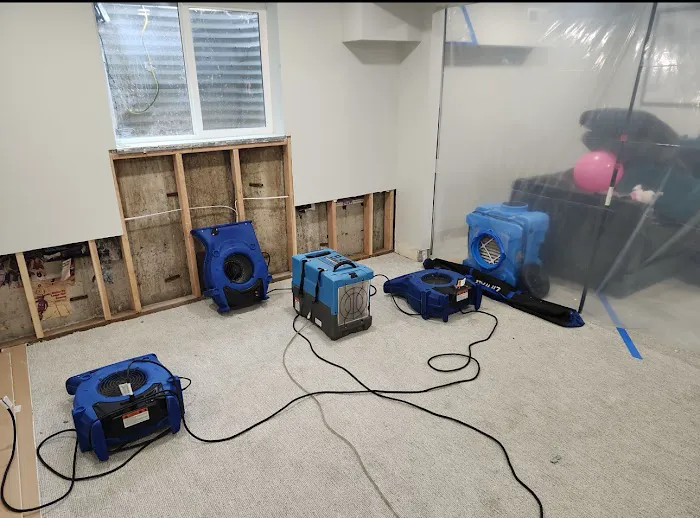 Any Hour Disaster Cleanup of West Jordan - West valley city Picture 1