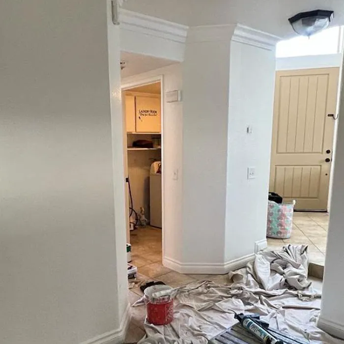 Pro Water Damage Restoration SLC Picture 1