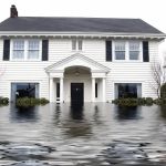 Salt Lake City Water Damage Utah Mold Removal