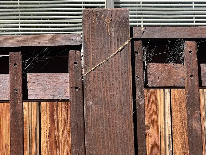 Advanced Restoration LLC Picture 9