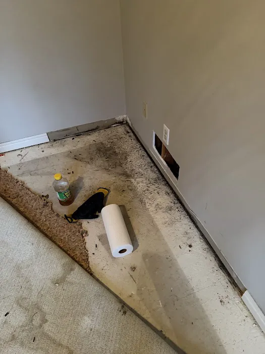 FIX Flood & Water Damage Pros Picture 6