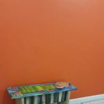 Wasatch Disaster Solutions