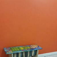 Wasatch Disaster Solutions ico