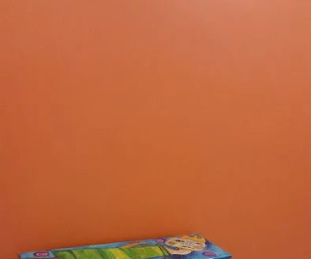 Wasatch Disaster Solutions