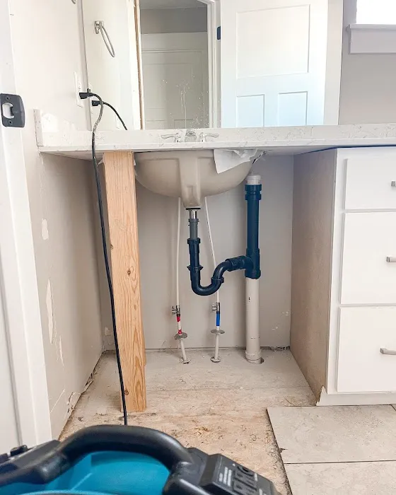 Rx Restoration Picture 1