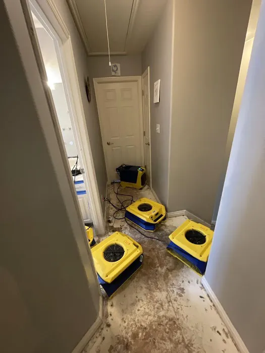 Rx Restoration Picture 7