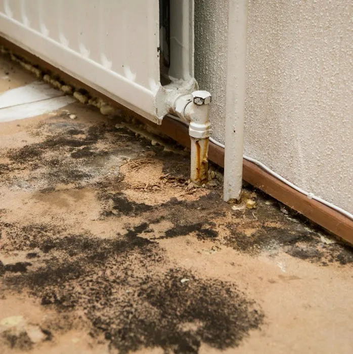 ReviveIt Water Damage & Restoration Picture 1