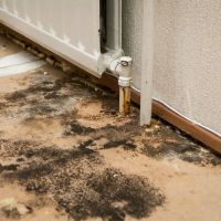 ReviveIt Water Damage & Restoration ico