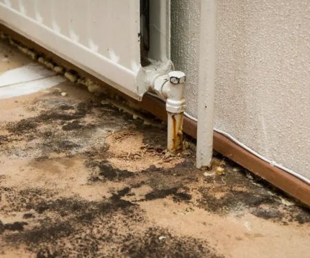 ReviveIt Water Damage & Restoration