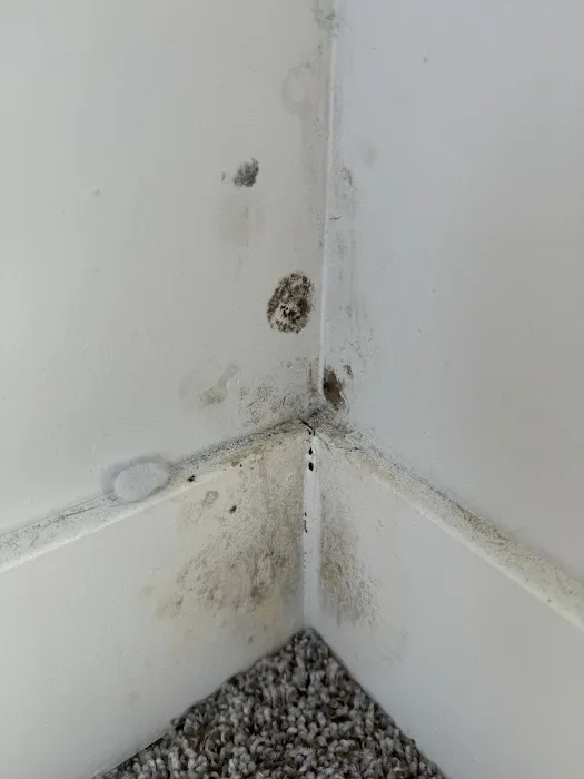 Elite Water Restoration Picture 8