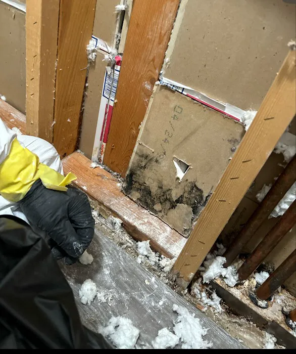 Elite Water Restoration Picture 10