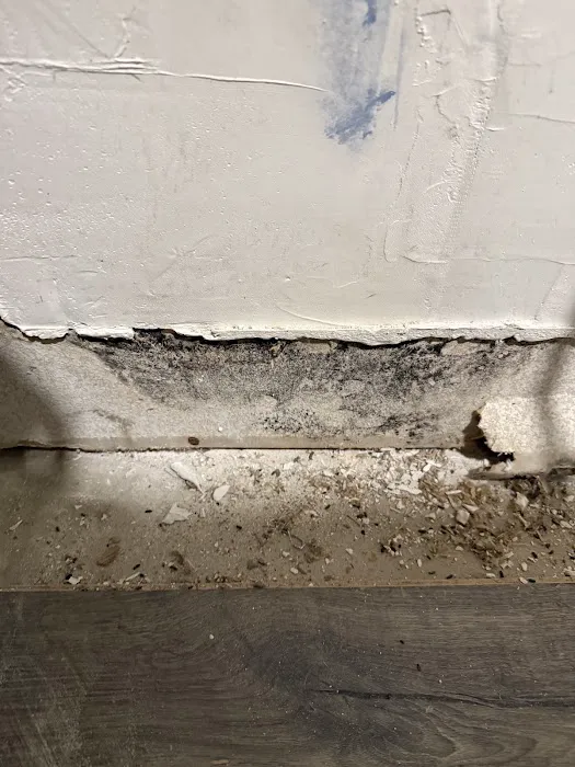 Complete Restoration Picture 5