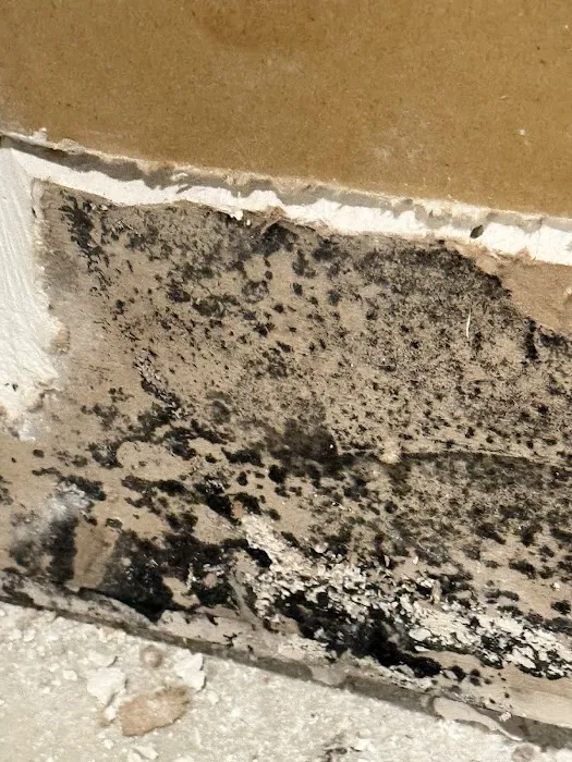 Complete Restoration Picture 6