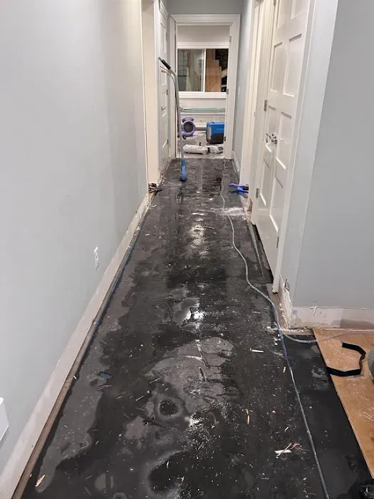 Flood and Fire Restoration by Collier Picture 9