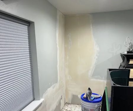 Flood and Fire Restoration by Collier