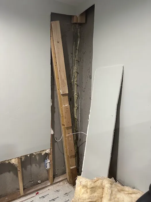 Flood and Fire Restoration by Collier Picture 8