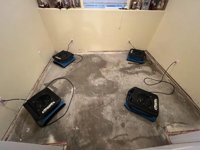 Flood and Fire Restoration by Collier Picture 10