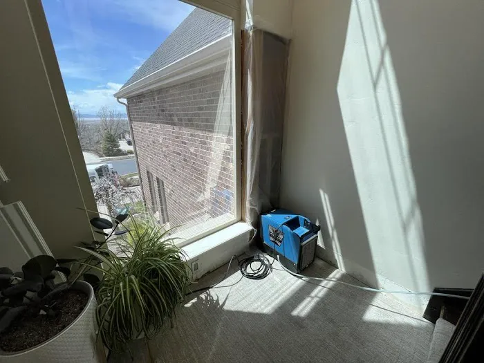 Flood and Fire Restoration by Collier Picture 5