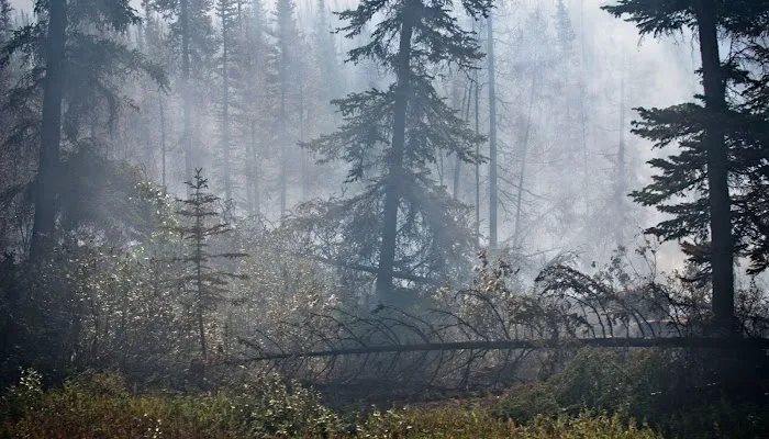 ProDry Water Damage Restoration Orem UT Picture 6