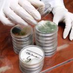 AEI Decon Meth & Mold Remediation