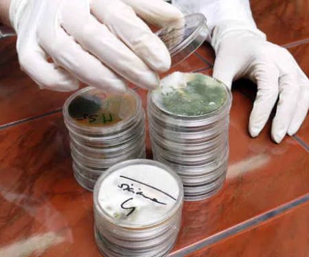 AEI Decon Meth & Mold Remediation