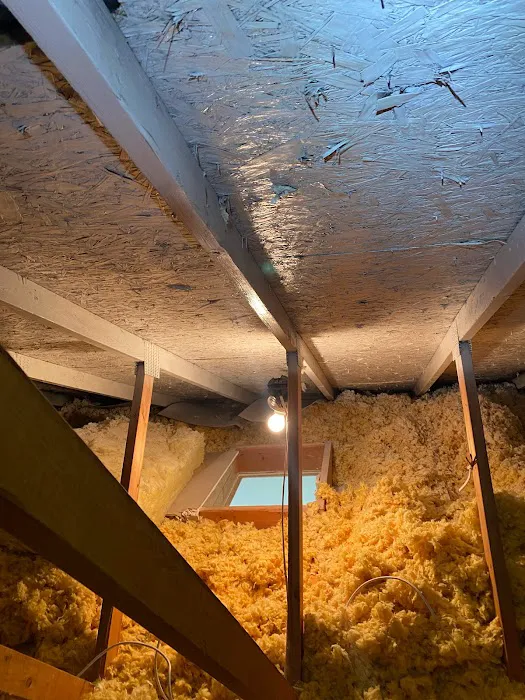 AEI Decon Meth & Mold Remediation Picture 4