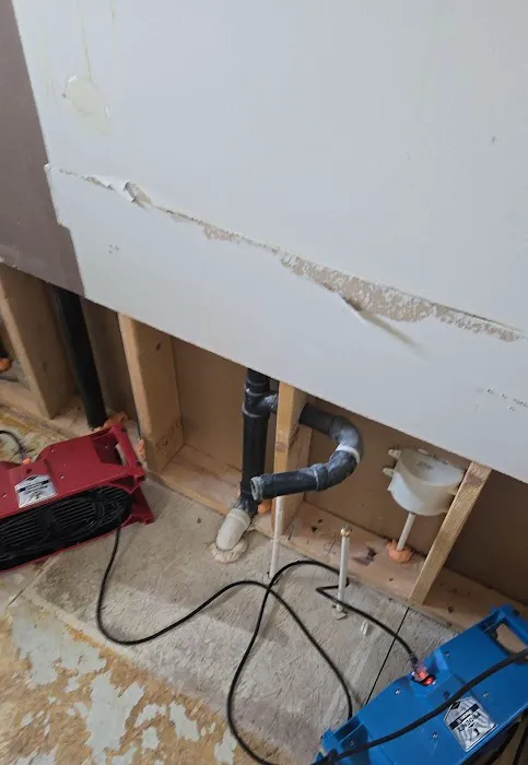 The Disaster Company Picture 9