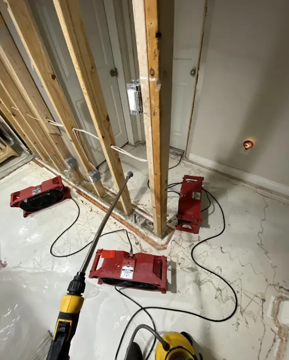 The Disaster Company Picture 5