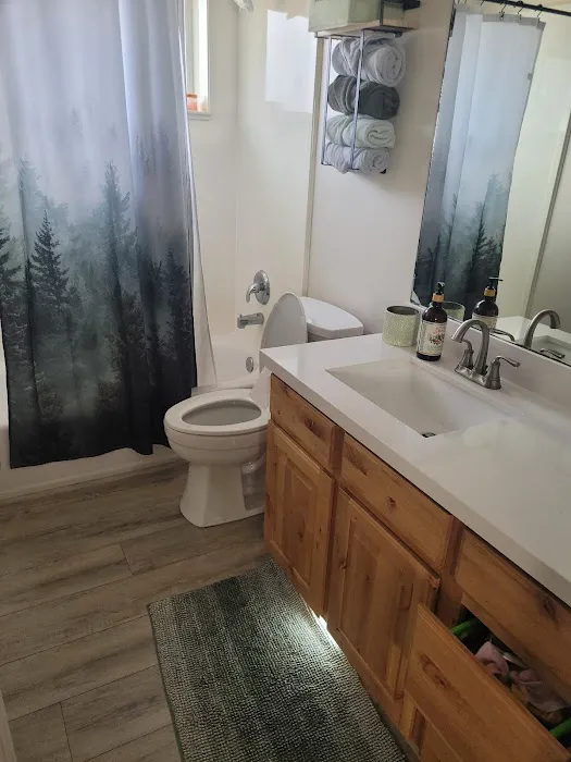 The Disaster Company Picture 7