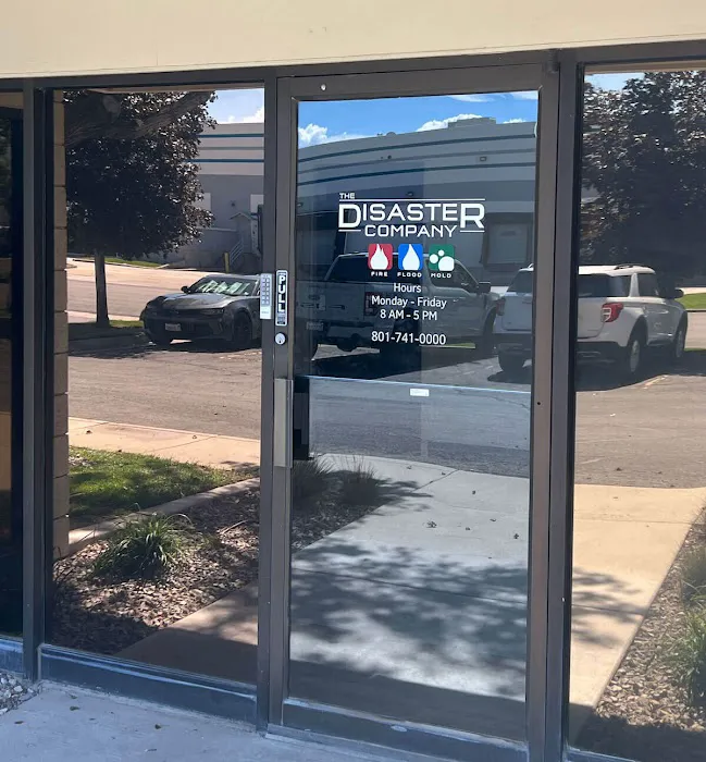 The Disaster Company Picture 6