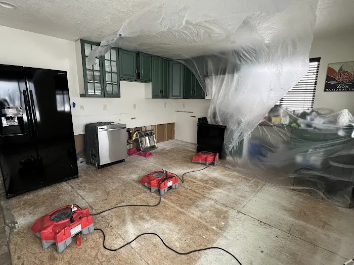 The Disaster Company Picture 8