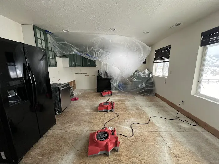 The Disaster Company Picture 1