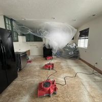 The Disaster Company ico