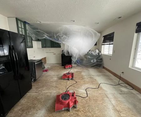 The Disaster Company