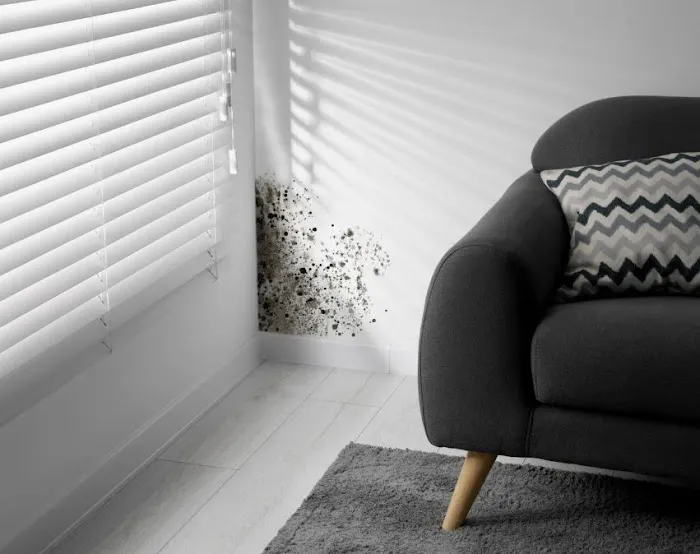 Guardian Mold Removal Picture 2