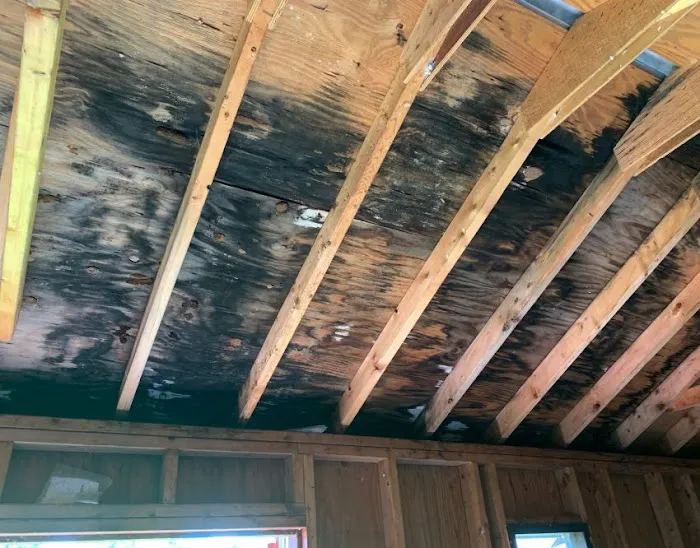 Guardian Mold Removal Picture 3