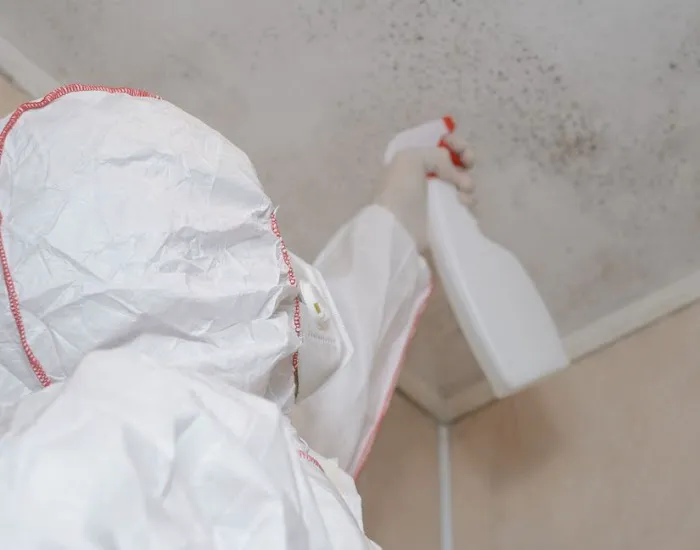 Guardian Mold Removal Picture 1