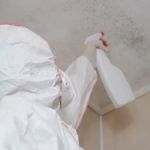 Guardian Mold Removal