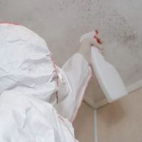 Guardian Mold Removal ico