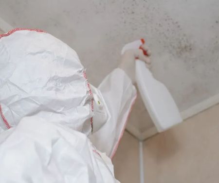 Guardian Mold Removal