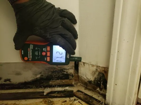 CORE by AHS Disaster Cleanup Picture 5