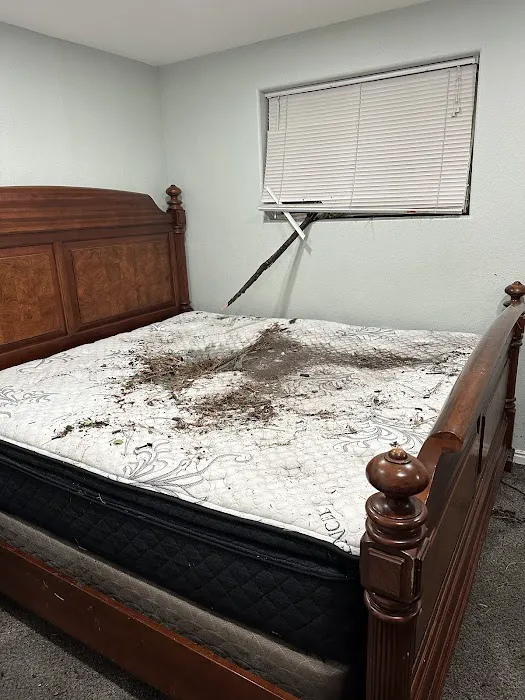 CORE by AHS Disaster Cleanup Picture 9